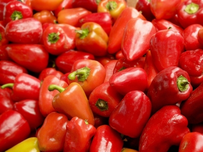 15 productos colombianos que podrían ingresar al mercado estadounidense
